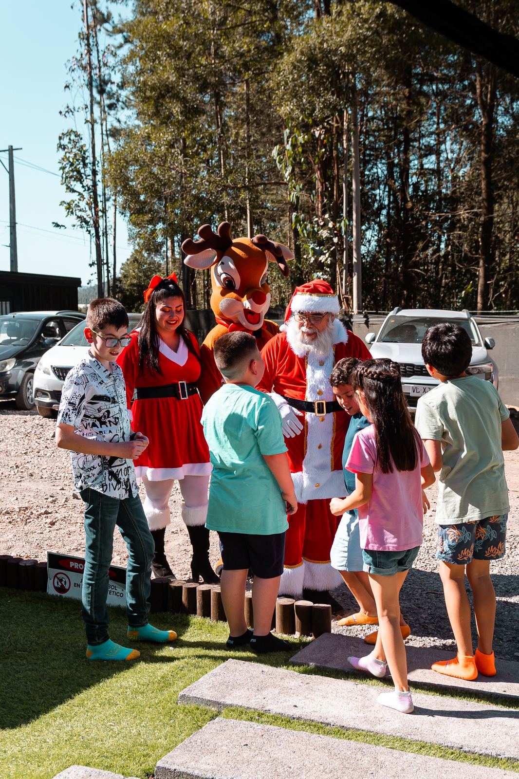 Navidad en CurvyPark